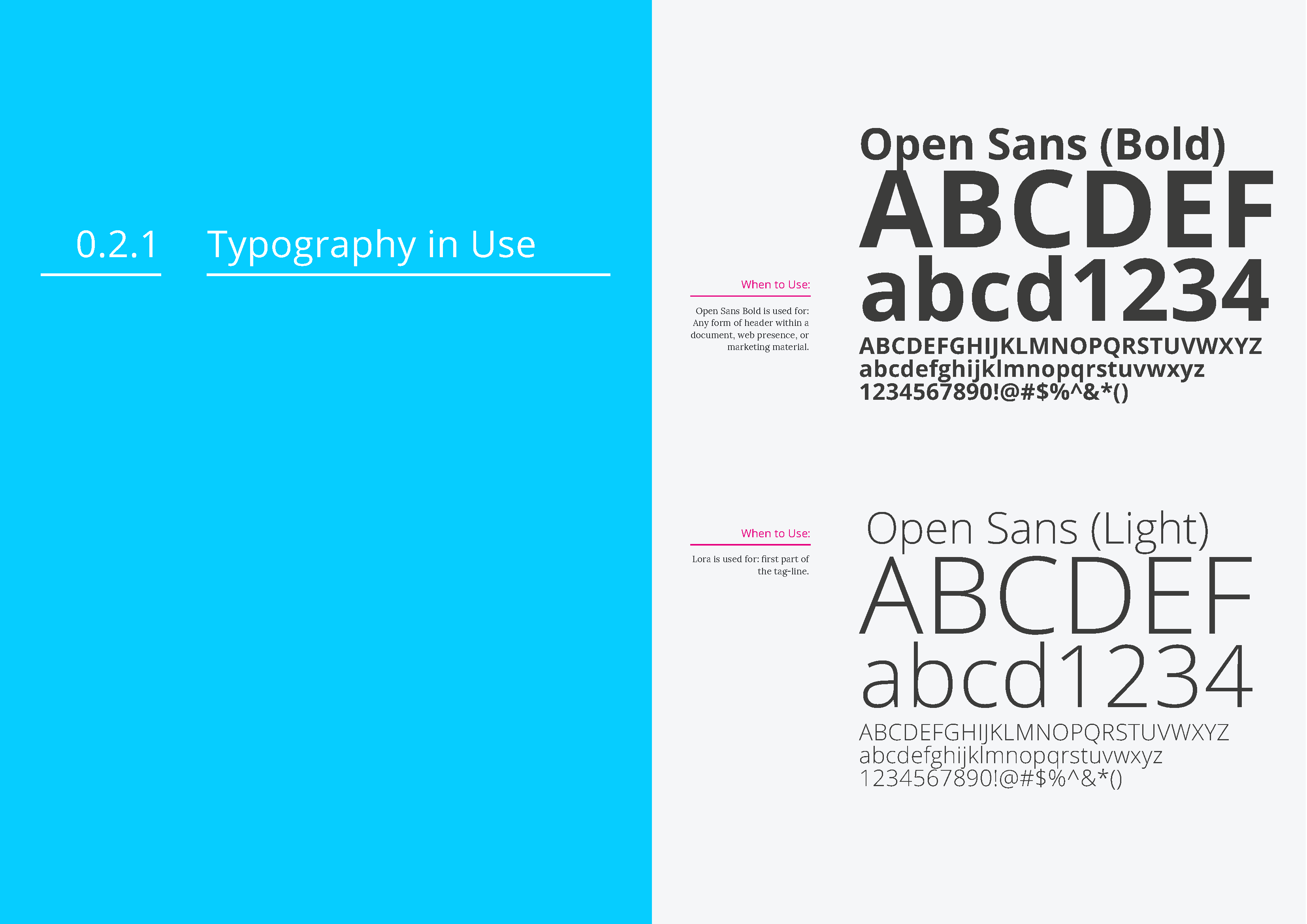 IDSI-Branding-Guidelines_Page_5