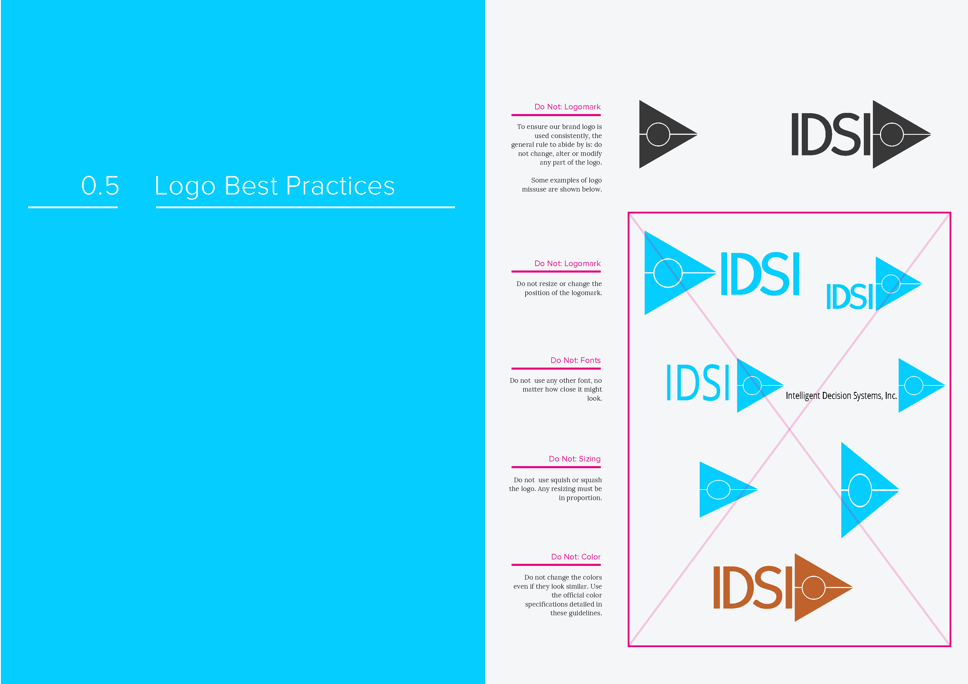 IDSI-Branding-Guidelines_Page_8-1